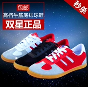 Đôi giày thể thao đôi giày bóng bàn luyện tập giày cho nam và nữ giày bóng chuyền cao cấp sân bóng nhựa phổ thông giày cứng ngoài trời