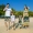 Mẹ và người phụ nữ đi nghỉ mát bên bờ biển đặt chín điểm quần chùm một gia đình ba quần đi biển quần cha-con - Trang phục dành cho cha mẹ và con quần áo trẻ em xuất khẩu