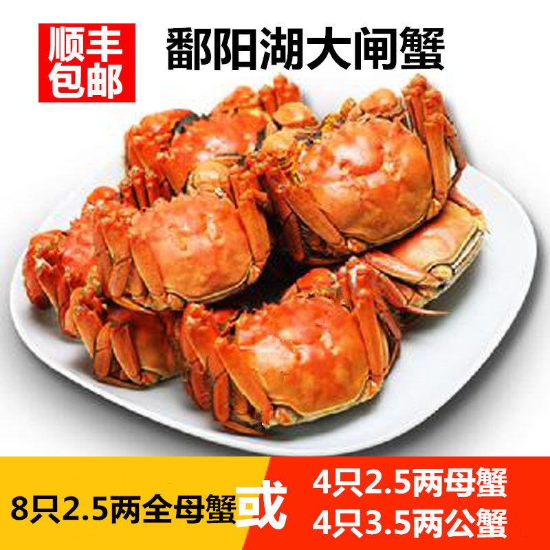 Jiangxi specialty Jiujiang Poyang Lake®Hairy crabs8Only full mother2.5Two authentic giant fresh crab gift box