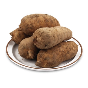 Употребление бактерий 200G