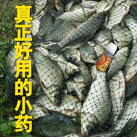 Hương vị tỏi phong phú thu hút đại lý khai thác cá Nhật Bản nhập khẩu phụ gia câu cá hố đen thiết bị câu cá hoang dã cần tay shimano