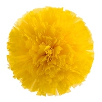 Желтое большое кольцо