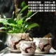 3 кусочки цветов персика Yuanji Pot
