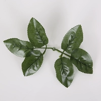 Шесть листьев