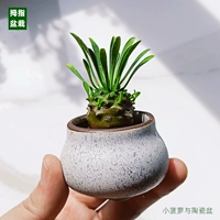 Ванглайский бассейн кладбища