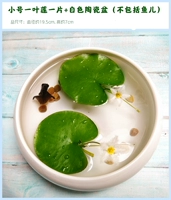 Два части+керамический бассейн