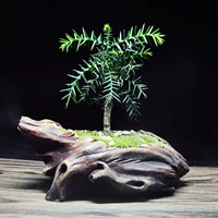 Австралийский Шан (гончарный горшок)