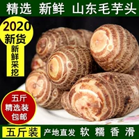 Taro Fresh Taro Taro Marge растительный овощ Shandong Special -Product Farmers сажают свежее маленькое таро пять фунтов бесплатной доставки