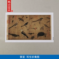 Знаменитые картины HD копировать пять династий, Huang Ye Sketching Poultry Pou