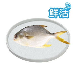 [鲜活金鲳鱼400-500g/条]