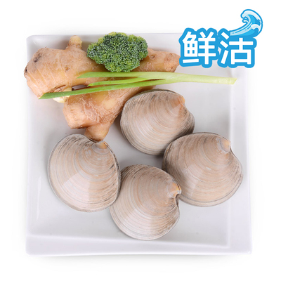 [鲜活元贝90-110g/只]