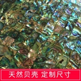 AFSJ Natural New Zealand Abalone Shell Mosaic -плитка