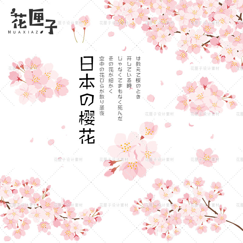 日本手绘樱花素材日式和风唯美花朵平面海报设计矢量png免扣高清-天天素材网