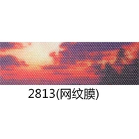 2813 (сетчатая пленка)