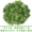 Mô phỏng mây giả hoa nho nho lá cây xanh trần ban công trang trí điều hòa không khí ống quanh co - Hoa nhân tạo / Cây / Trái cây