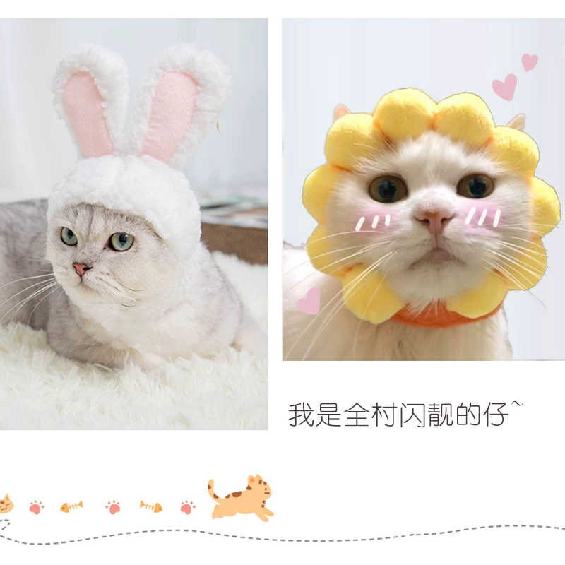 Waterproof hat, rabbit for bath, pet