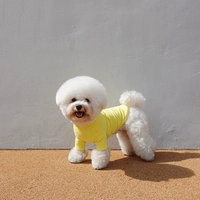 Блестящий желтый