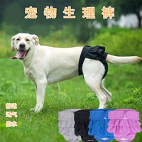 Собака физиологические штаны Женщина собака собака собака Золотая Мао Тиди Корги Доу Луна Меридиан Тету