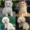 Товары от 玩客生活