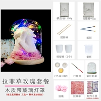 Пакет Rafie Grass Rose (цветная лампа)