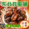 Товары от 东北小伙0o