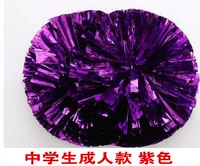 Ученик средней школы фиолетовый фиолетовый