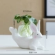 SP-Push-Lying Rabbit