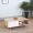 Sofa bàn cà phê Tủ tivi phòng khách kết hợp đồ nội thất đơn giản giải trí gỗ rắn vải không gian văn phòng phòng khách - Bộ đồ nội thất