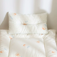 Одноразовая ядра -Антибактериальные клещи -Проятная ядро ​​подушки