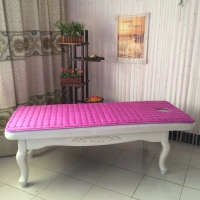 vẻ đẹp đặc biệt là mềm mại và thoải mái nệm pad vùng lỗ áp lực massage pad thẩm mỹ viện dày - Nệm nệm 1m2