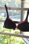 Sexy Châu Âu và Mỹ Ren Vẻ Đẹp Cổ Điển Bikini Không Có Thép Vòng Áo Ngực Đồ Lót 65B70B75B áo ngực cúp ngang