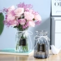 Bình thủy tinh châu Âu dụng cụ trồng cây phòng khách trang trí sáng tạo hoa khô bình hoa phong phú chậu hoa tre - Trang trí nội thất shop bán đồ dcor bàn học