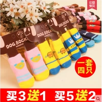 Кошачья туфли кошка кошка ловли летние собачьи носки анти -пышные ноги