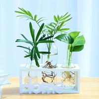 3 бутылки белого лака [растения в подарочной фигуре]