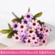 Purple QQ Chrysanthemum 5
