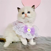 Фиолетовый хризантем