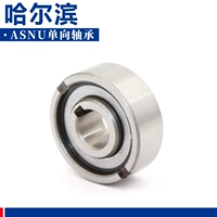 Harbin Roller Uniderectional Clutch Asnu100 ASNU120 ASNU150 ASNU200