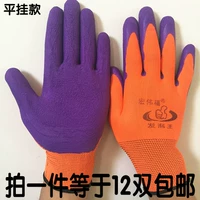 Плоский апельсиновый фиолетовый пеной король (12 удвоений)