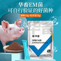 Разведение ЭМ БАКТЕРИИ