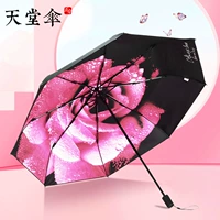 Солнцезащитный крем, свежий зонтик на солнечной энергии, защита от солнца, УФ-защита