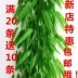 Hoa nhựa mô phỏng lá liễu 绢 hoa giả hoa nho dây leo liễu mô phỏng liễu liễu liễu liễu - Hoa nhân tạo / Cây / Trái cây Hoa nhân tạo / Cây / Trái cây