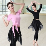 Комплект для взрослых, классическая современная спортивная одежда, облегающий крой, свободный крой