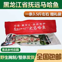 Funyuan Pure River Fish Fish Big Mah