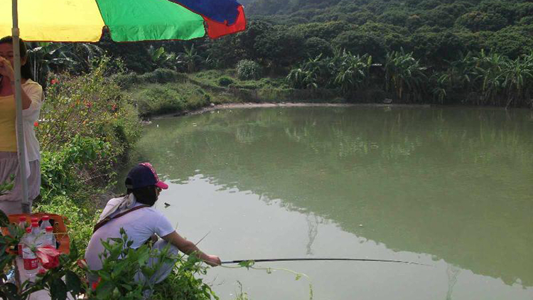 夏季钓鱼有“诀窍”！牢记这4点