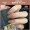 2020 New Nail Art Net Red Jelly Sơn móng tay Keo dán móng tay màu trắng Ngọc bích trong suốt Keo dán móng tay đèn chiếu - Sơn móng tay / Móng tay và móng chân