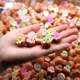 20 птенцов световой раковины 20
