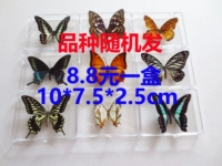 Случайно отправить 8,8 юань/коробку