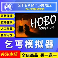 Steam подлинный компьютер китайский игров