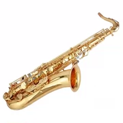 Cao cấp Salma B-phẳng tenor saxophone ống nhạc cụ mờ mờ xanh cổ - Nhạc cụ phương Tây