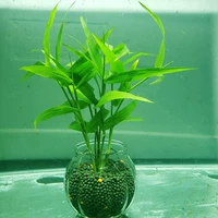 Изумрудно -зеленая бамбуковая полоса